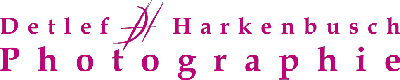Harkenbusch Photographie Logo